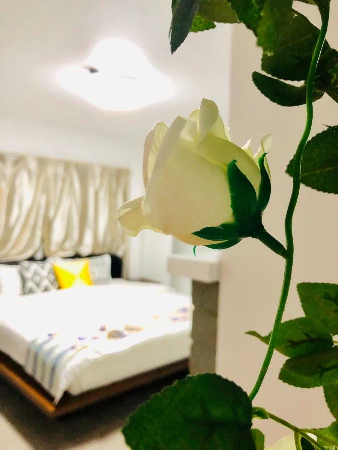 Westminster Holiday Home Роторуа Экстерьер фото